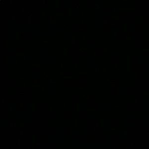 Meet your Posher, Jayden